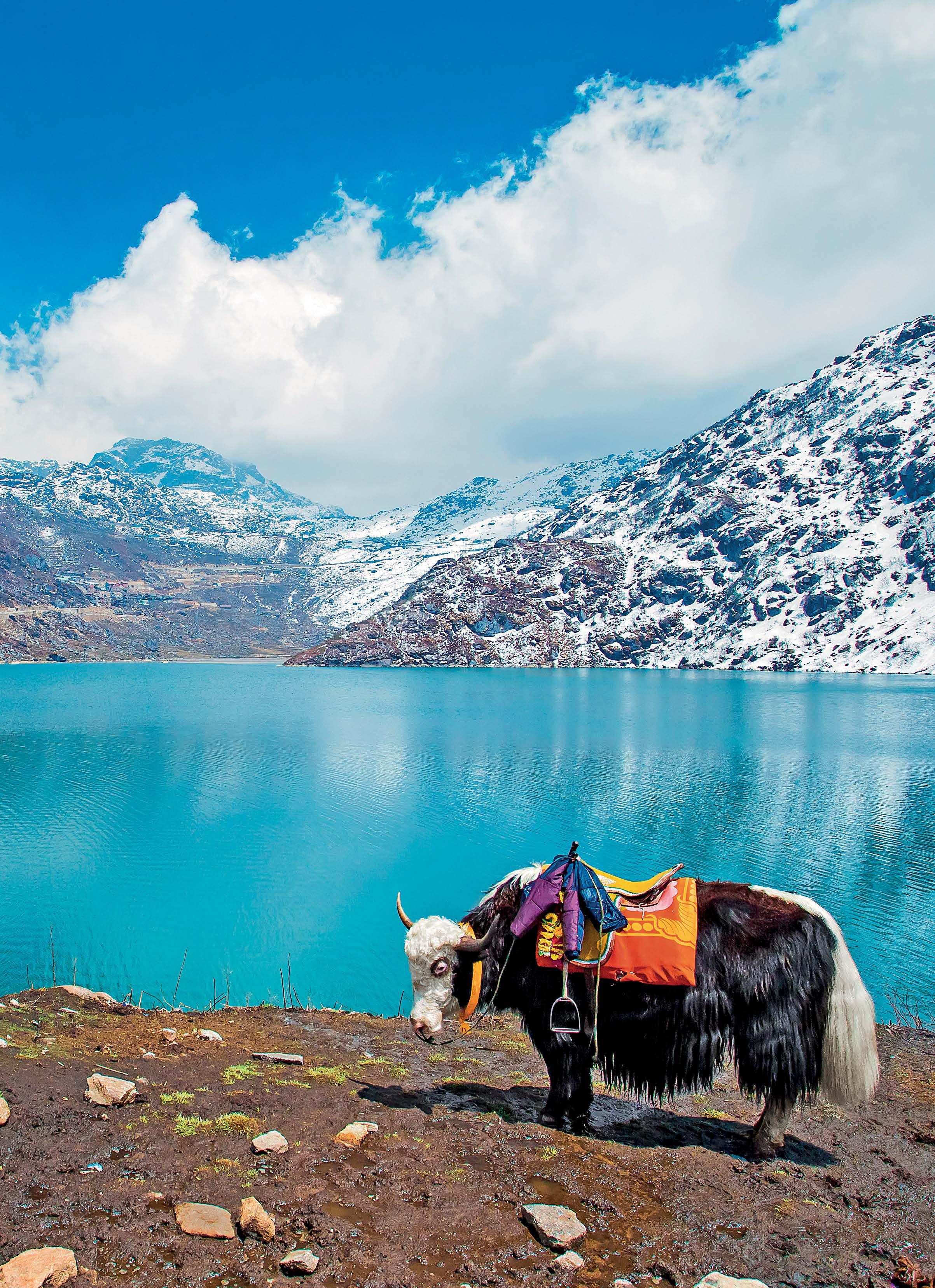 Rediscovering The mountains